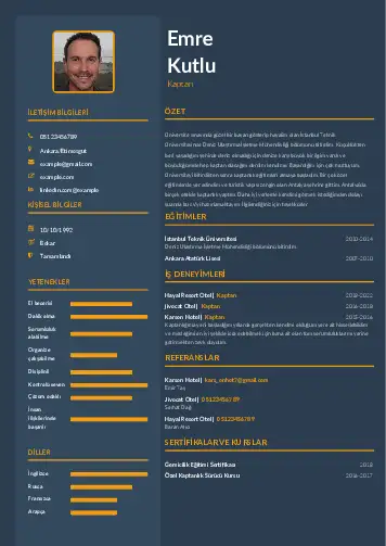cv indir